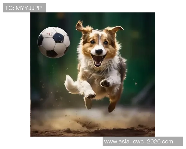 狗狗们的足球赛季：萌宠们如何在绿茵场上展现球技与团队精神